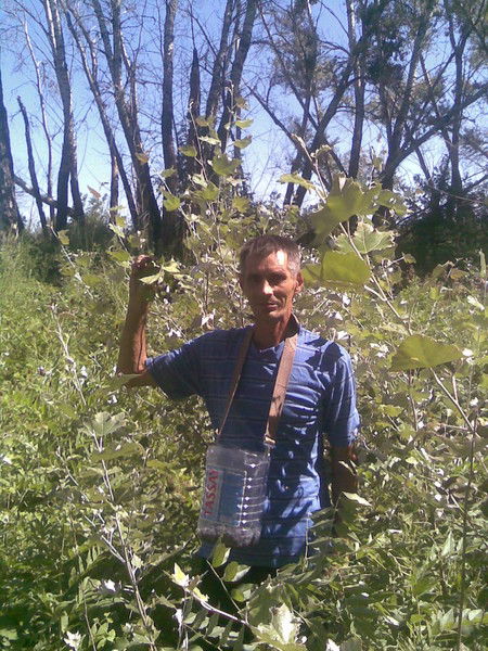 Владимир Авдеев