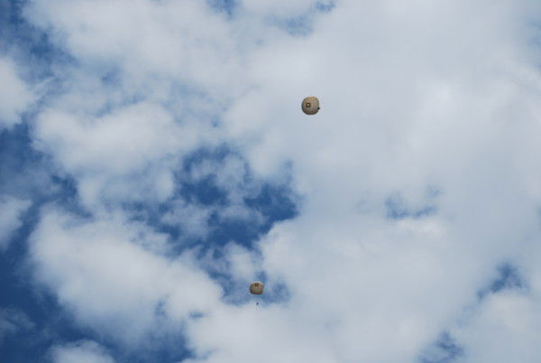 Александр Тимофеев