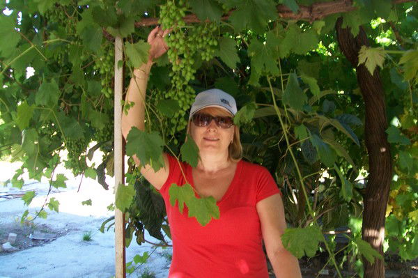 Елена Задоркина