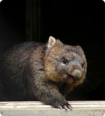 Неземная ***