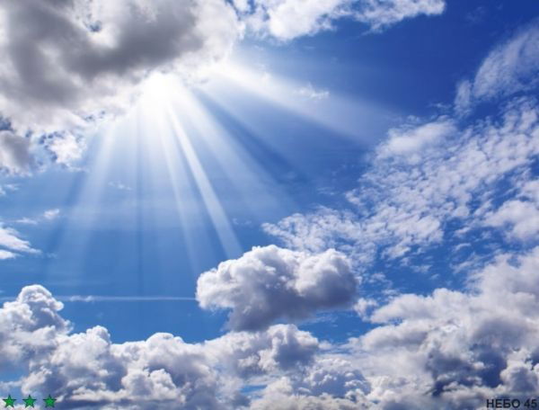 Максим Котов