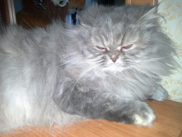 Галина Анатольевна