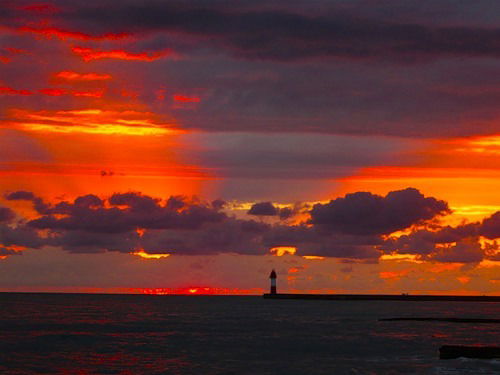 Максим Коновалов