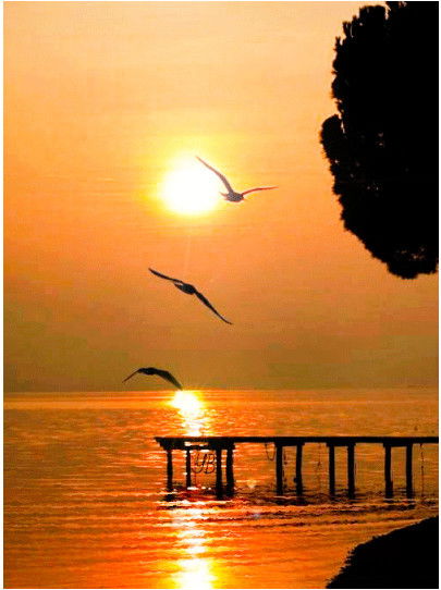 Жанна Литвиненко