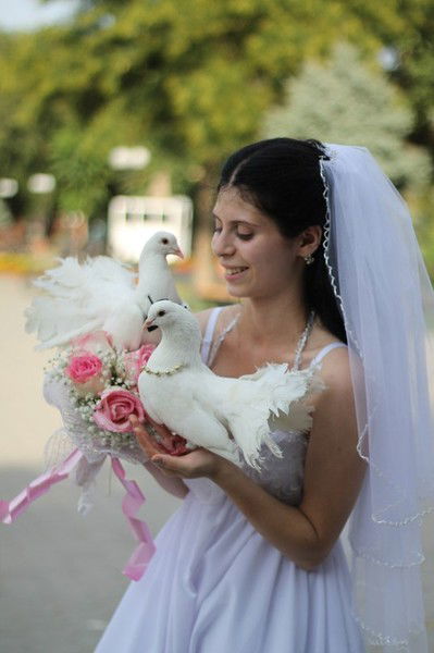 Эйфория Суицида