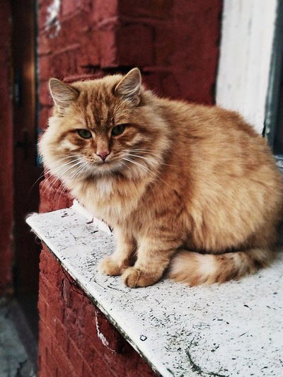 Валерия Клопова