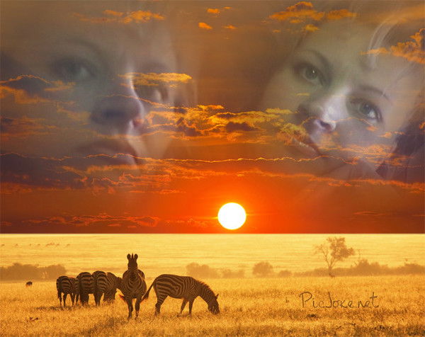 Светлана Обозкина