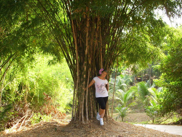 Елена Козлова