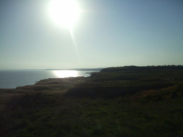 Денис Дмитренко