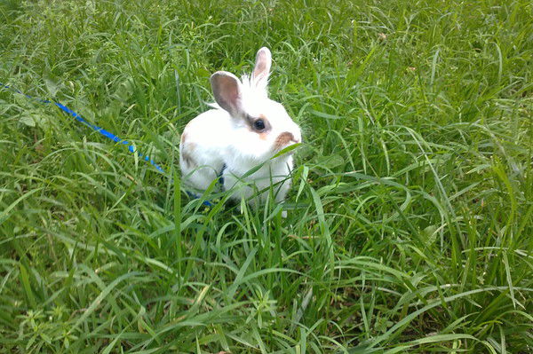 Таисия Степаненко