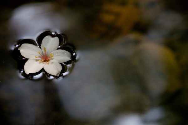 Жанна Бижанова