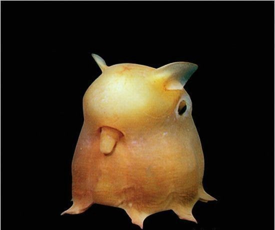 Александр Угольков