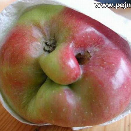 Дмитрий Китов