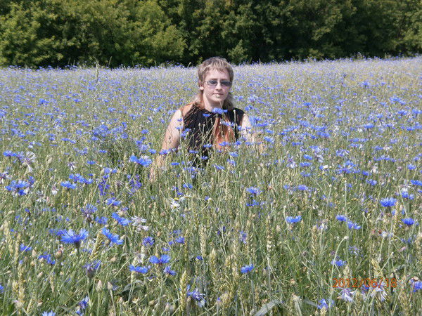 Елена Скрипкина