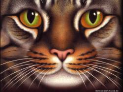 Тамара Чернышова