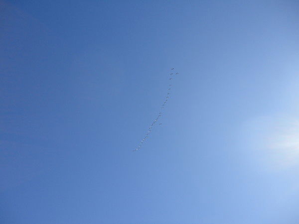 Станислав Зорько