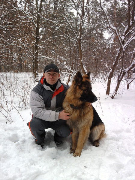 Алексей Верхоланцев