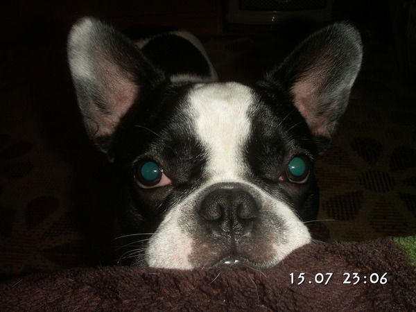 Александр Скориков