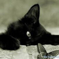 Анна Памфилова