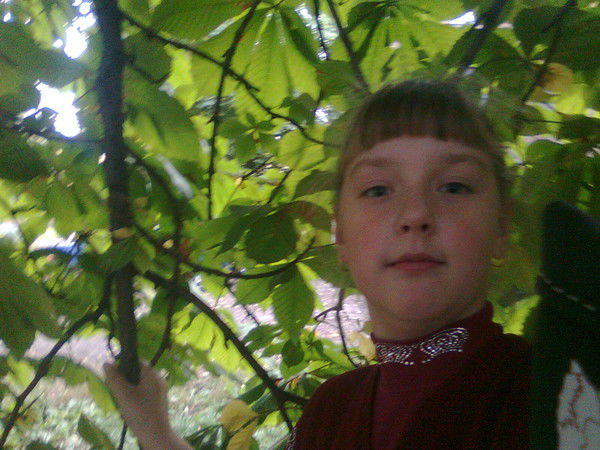 Александр Асадчев