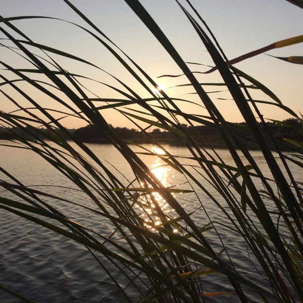 Анна Бризицкая