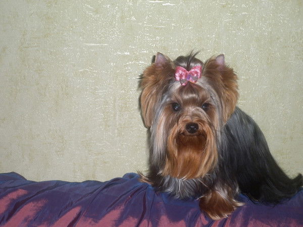 Katerina Kabyrenkova