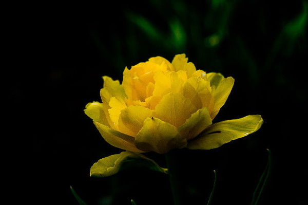 Татиана Ерасова