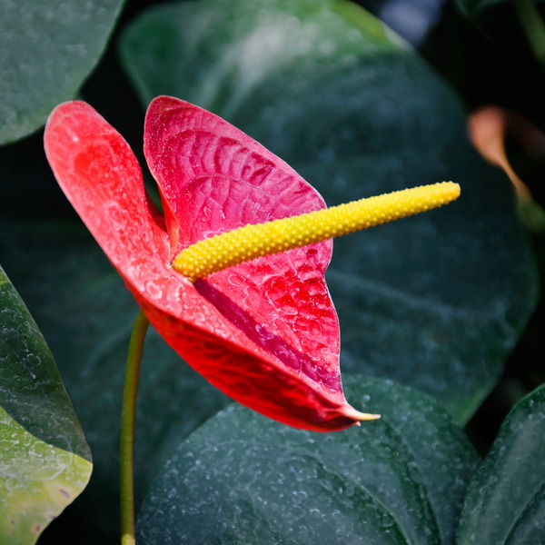 Татьяна Ласточкина