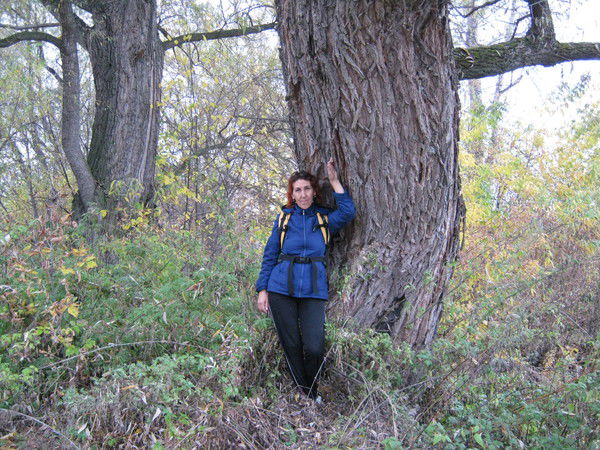 Любовь Гордиенко