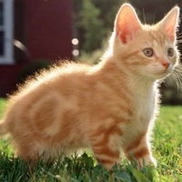 Динара Илшатовна