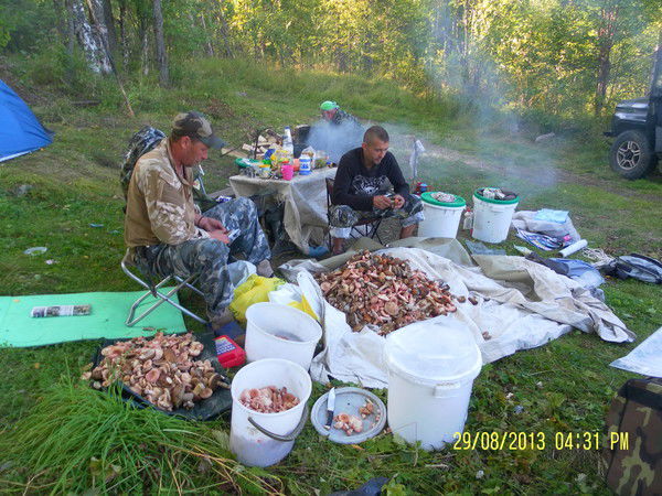 Евгений Шустов