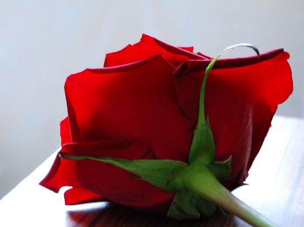 Андрей Пулин