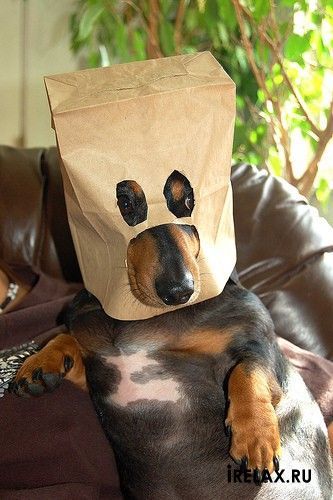 Алексей Туманов