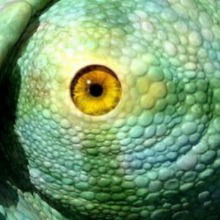 Даниил Василенко