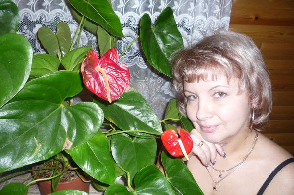 Строймастер Стройка