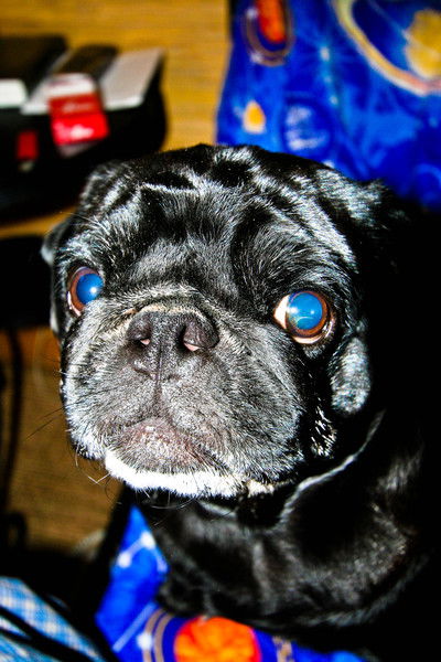 Юрий Валерьевич Героев