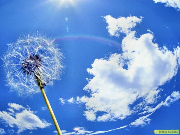 Вячеслав Жуковский