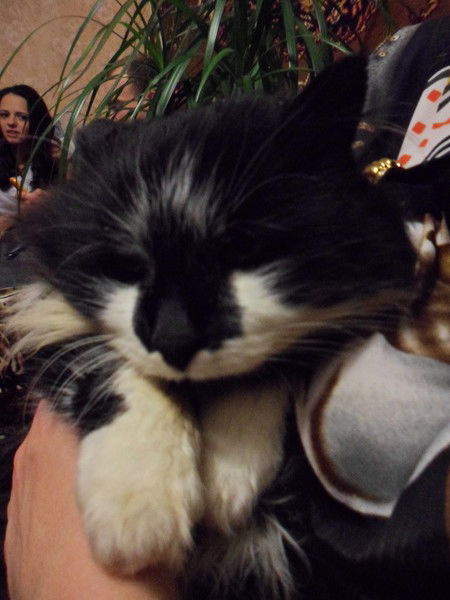 Ольга Вот ( Дрозд)