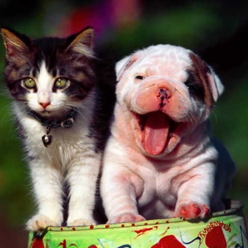 Андрей Острянин