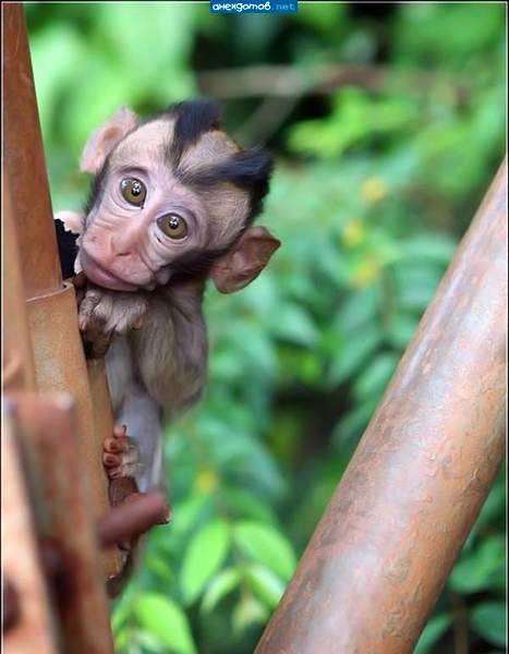 Михаил Белов