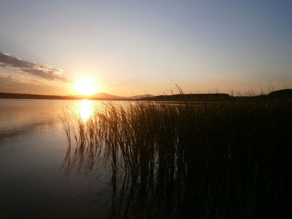 Анастасия Попкова