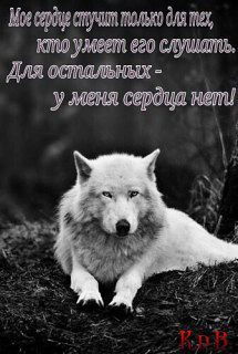 Сергей Демиденко