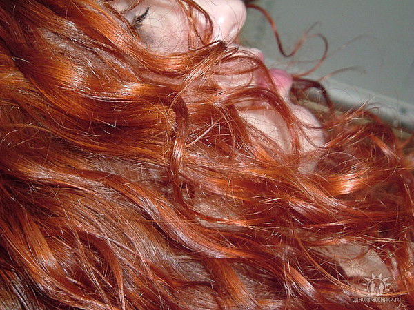 ***лисичк@*** .