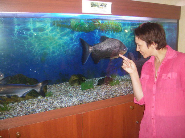 Елена Иванова