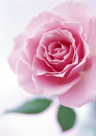 Зарема Рагимова