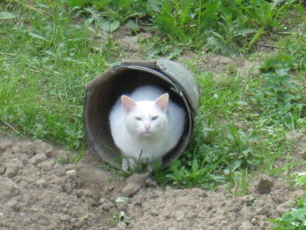 Лёх@ Ко†ик ©