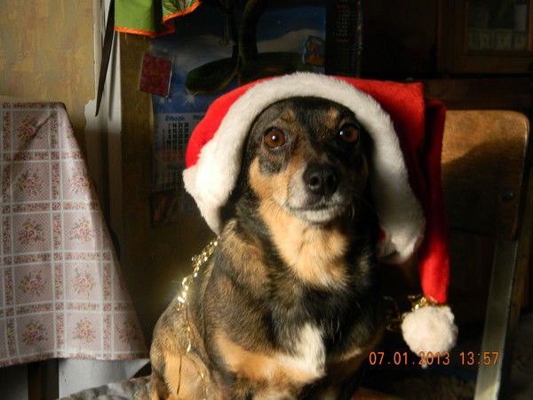 Наталья Быкова-Шестерикова