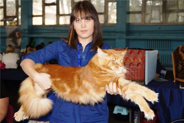 Анюта Попова