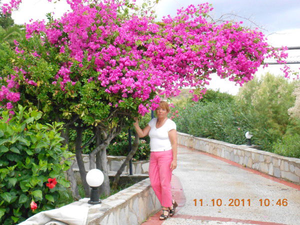 Надежда Сергеева