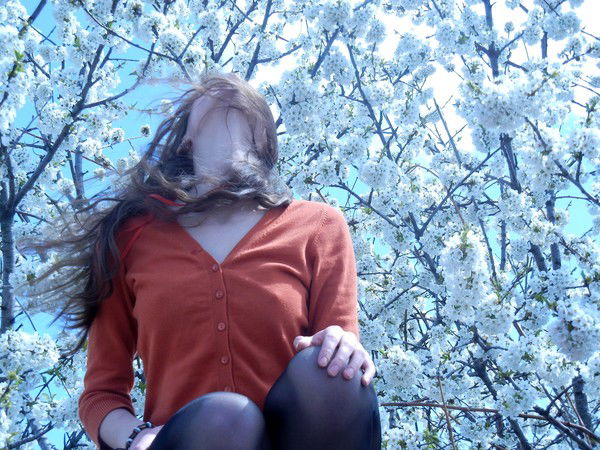 Дикая Динго